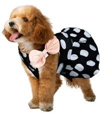 VESTIDO MASCOTA, CIRCULOS BLANCOS TALLAS:   S, M, L Y XL - ZJ225176 - Imagen 4