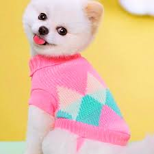 VESTIDO MASCOTA LANA CUELLO TORTUGA MASCOTA TALLA M - ZJ231405 - Imagen 2