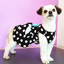 VESTIDO MASCOTA, CIRCULOS BLANCOS TALLAS:   S, M, L Y XL - ZJ225176 - Imagen 3