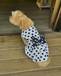 VESTIDO MASCOTA, CIRCULOS BLANCOS TALLAS:   S, M, L Y XL - ZJ225176 - Imagen 2