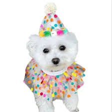 COLLAR FIESTA - ZJ232089 - Imagen 3
