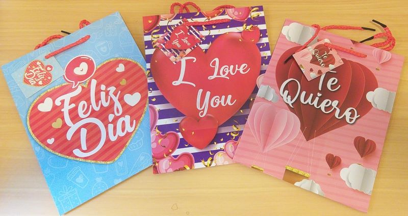 BOLSAS DE REGALO DIA ESPECIAL - 23CMSX18CMS - 13-482 - Imagen 1