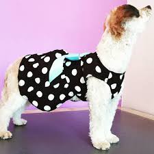 VESTIDO MASCOTA, CIRCULOS BLANCOS TALLAS:   S, M, L Y XL - ZJ225176 - Imagen 5