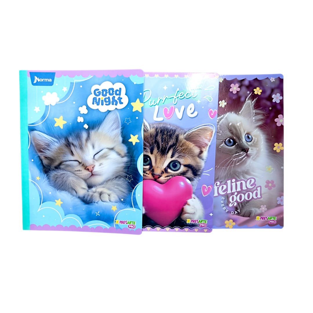 CUADERNO FELINE NIÑA CUADRICULADO TAMAÑO REGULAR - NORMA 100 HOJAS - Imagen 4