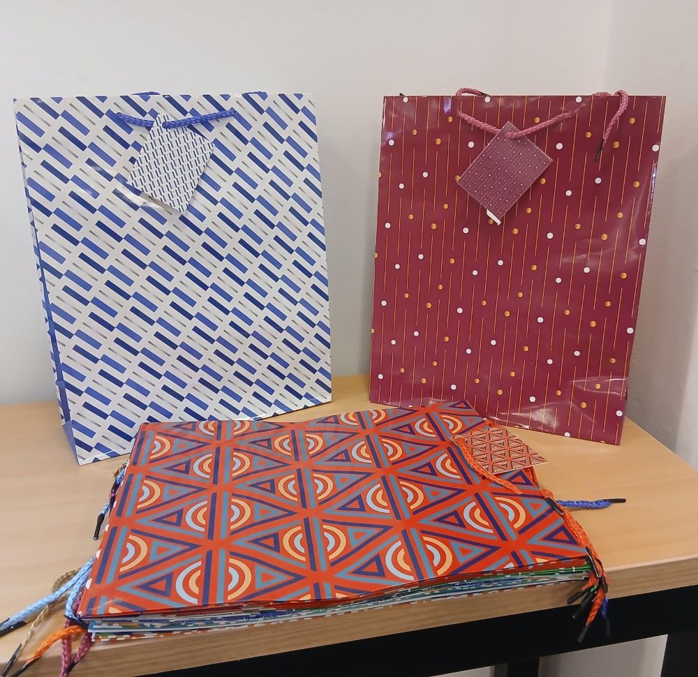 BOLSAS DE REGALO DE PAPEL LARGE - 32CMSX26CMS - 12-481 - Imagen 1