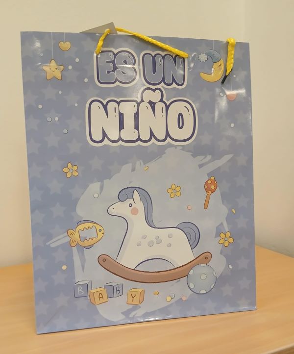BOLSAS DE REGALO PARA BABY SHOWER NIÑO LARGE - 32CMSX26CMS - 12-516 - Imagen 1