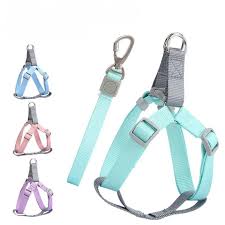 CORREA AJUSTABLE CON ANILLO D PARA CACHORROS Y PERROS MEDIANOS – FOR PET    MPO108 - Imagen 1