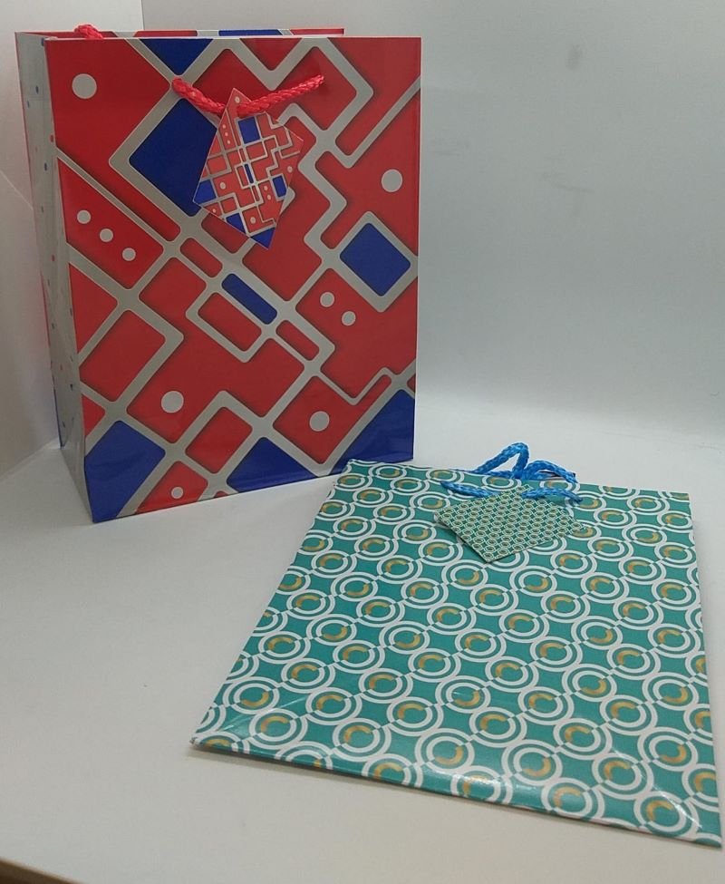 BOLSAS DE REGALO DISEÑOS GEOMETRICOS - 23CM X 18CMS - 13-481 - Imagen 1