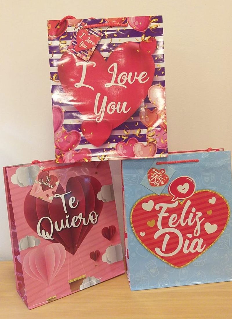 BOLSAS REGALO DIA ESPECIAL 35X52 12-482 - Imagen 1
